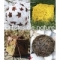 Artistes de nature