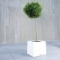 bac � plantes PM - Alea - Alea