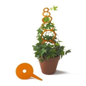 Petit tuteur  Avant-Premi�re