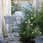 une terrasse intime  Paris