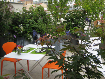 Avant - Après : Une terrasse aux allures de jardin suspendu