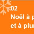 noel à poils et à plumes