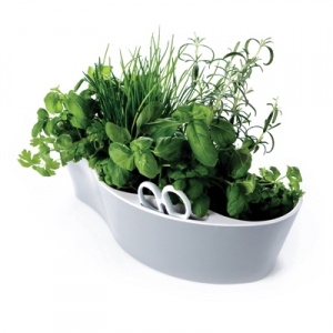 jardinire - Herb garden  Officeoriginair