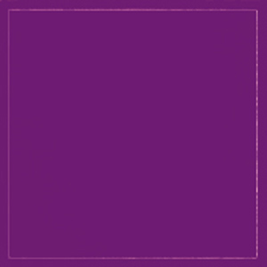 Mydrap - rouleau de 25 serviettes  