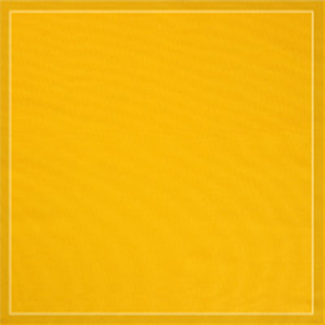 Mydrap - rouleau de 25 serviettes  