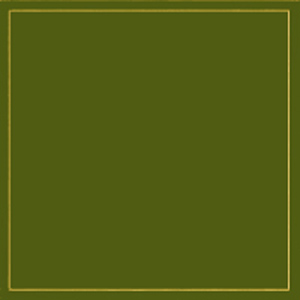 Mydrap - rouleau de 25 serviettes  