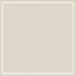 Mydrap - rouleau de 25 serviettes  